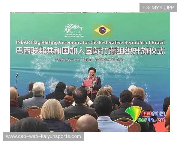 巴西青年军连胜推动转会估值迅速攀升