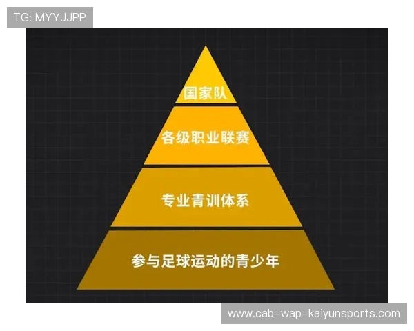 琑队如何完善青训课程的职业导向，如何进入青训体系